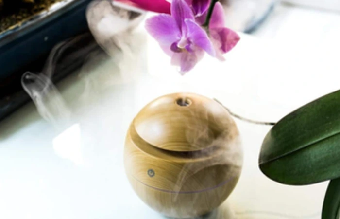 Orchid_Growing_Hydro.webp