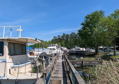 Fishing Catfish Dock 2