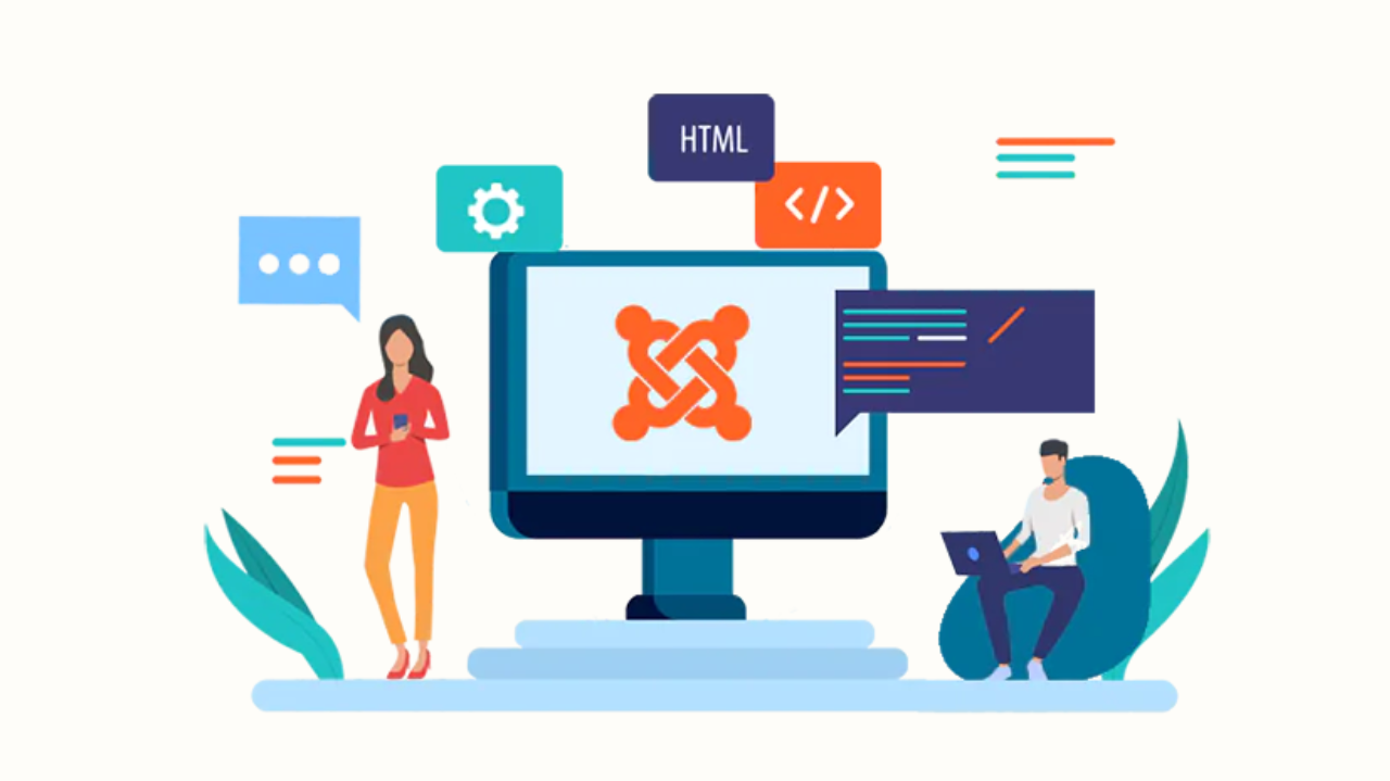 Joomla Developer