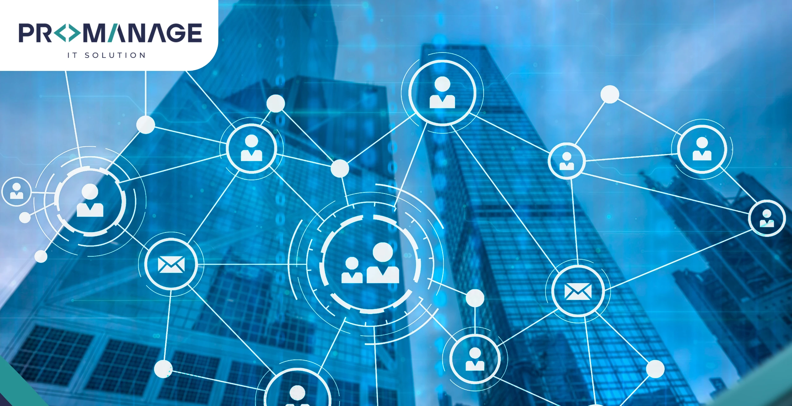 The “Citation Network Effect”